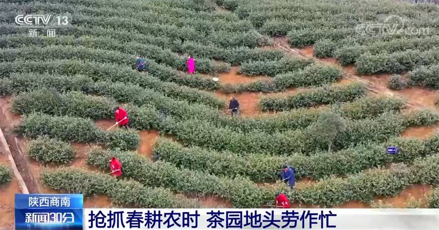 
上海肺科医院黄牛代挂号电话票贩子号贩子网上预约挂号,住院检查加快,春耕关键时期 各地抢抓农时保生产