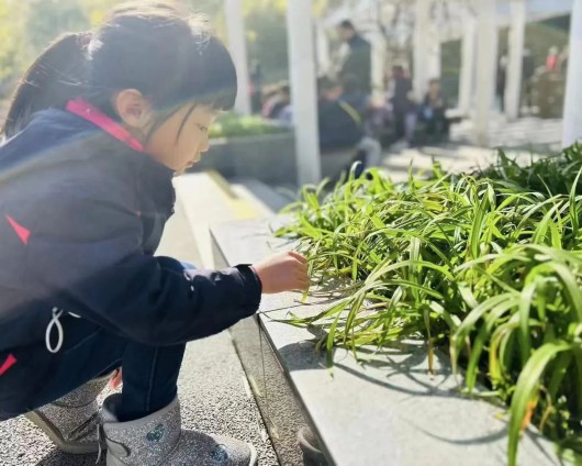 
广东省中医院黄牛代挂号电话票贩子号贩子网上预约挂号,住院检查加快,背上小书包，这所幼儿园与春天来了一场“约会”