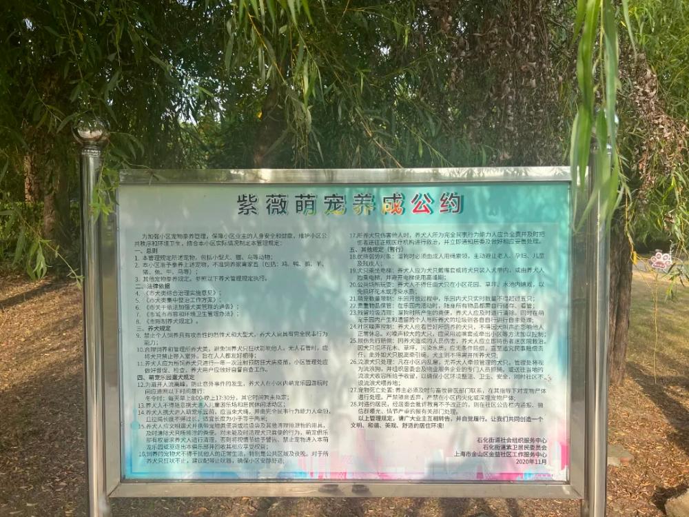 
上海瑞金医院黄牛代挂号电话票贩子号贩子网上预约挂号,住院检查加快,菜园公约、河规民约…金山不断完善依法治理体系，“一事一约”渐成村居新时尚