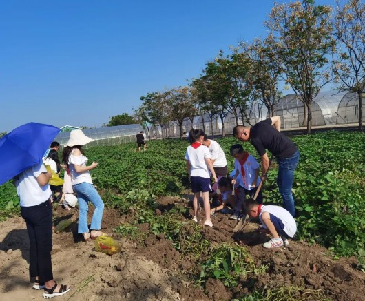 
北医三院黄牛代挂号电话票贩子号贩子网上预约挂号,住院检查加快,聚党建引领之力，引科创之水入田！宝山这里为乡村振兴注入新动能