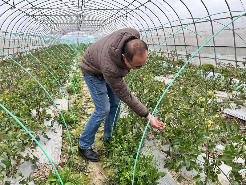 
中国中医科学院眼科医院黄牛代挂号电话票贩子号贩子网上预约挂号,住院检查加快,从“一张白纸”开始做农业，宝山这个青年农场主坦言：不断学习是关键