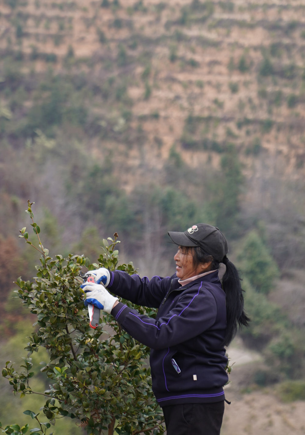 
广州口腔医院黄牛代挂号电话票贩子号贩子网上预约挂号,住院检查加快,十年两会·温暖记忆｜“讲不完的油茶树故事，道不尽的鱼水情深”