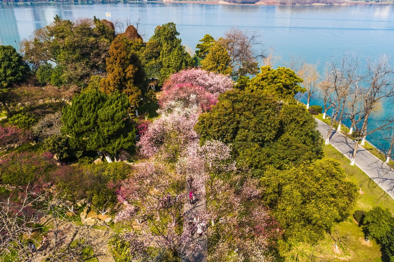 
北京空军总医院黄牛代挂号电话票贩子号贩子网上预约挂号,住院检查加快,奋进的春天 | 不负好春光！江苏文旅市场再现蓬勃活力