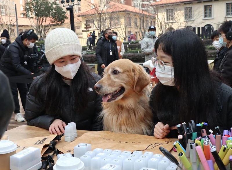 
南京各大医院黄牛代挂号电话票贩子号贩子网上预约挂号,住院检查加快,225请“爱爱我” 这家宠物友好限时概念店登陆上海