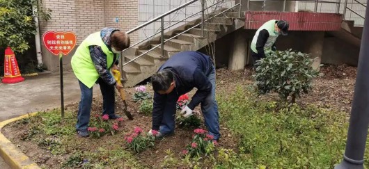 
北京大学第三医院黄牛代挂号电话票贩子号贩子网上预约挂号,住院检查加快,全民参与，创建美丽家园！宝山各街镇全力打好创全攻坚战