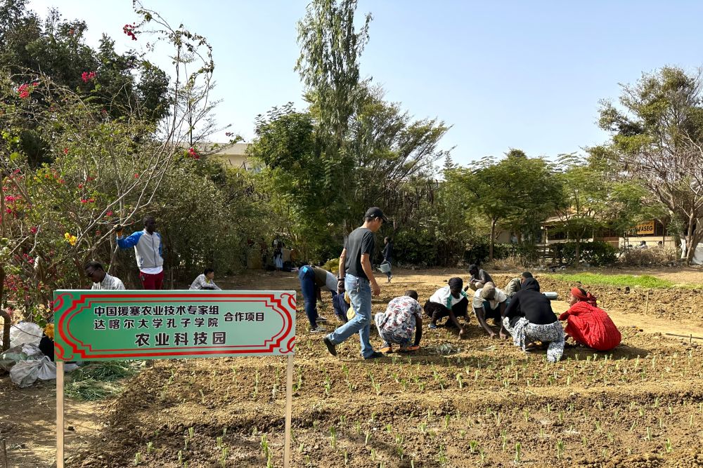 
广州中医院黄牛代挂号电话票贩子号贩子网上预约挂号,住院检查加快,“汉语农业技术培训”助力塞内加尔农技人才培养