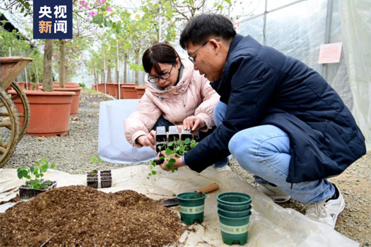 
博爱医院黄牛代挂号电话票贩子号贩子网上预约挂号,住院检查加快,“太空种子”，出苗移植啦！