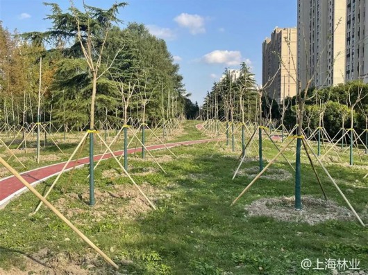 
上海精神卫生中心黄牛代挂号电话票贩子号贩子网上预约挂号,住院检查加快,上海市小微开放休闲林地增至54个，快去享受林间野趣吧~