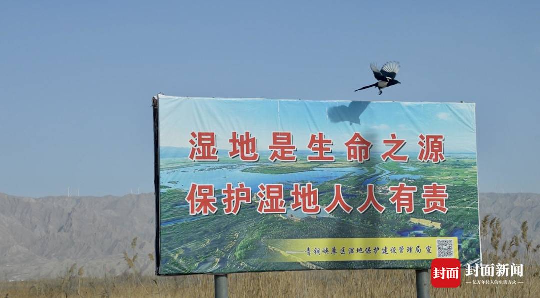 
南京市中医院黄牛代挂号电话票贩子号贩子网上预约挂号,住院检查加快,世界野生动植物日｜走进宁夏青铜峡库区湿地：听春日交响 览“鸟岛”风貌