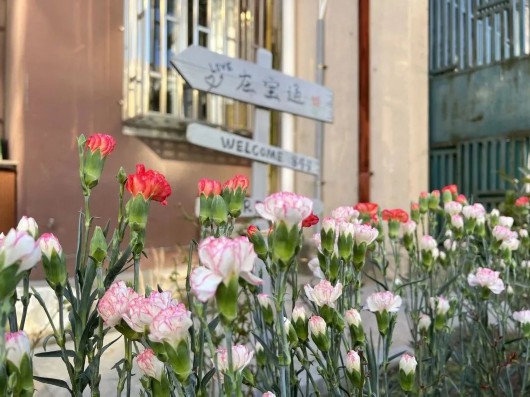 
南京各大医院黄牛代挂号电话票贩子号贩子网上预约挂号,住院检查加快,践行雷锋精神，宝山这里的“社区小先生”在行动
