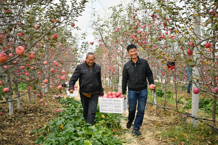 
江苏省中医院黄牛代挂号电话票贩子号贩子网上预约挂号,住院检查加快,凝聚起建设中国式现代化的磅礴力量——从党的二十大到2023年全国两会