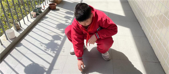 WDCM上传图片