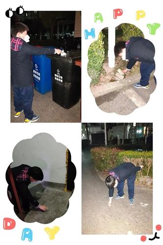 WDCM上传图片 WDCM上传图片