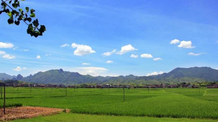 
沈阳医大二院黄牛代挂号电话票贩子号贩子网上预约挂号,住院检查加快,农村人才困境如何破解？代表委员：创新体制机制，打通“回村”路