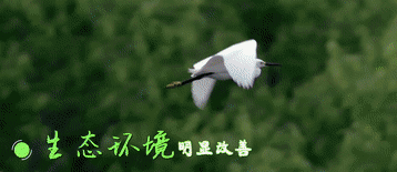 
天津肿瘤医院黄牛代挂号电话票贩子号贩子网上预约挂号,住院检查加快,新华全媒＋丨极不寻常极不平凡 “数说”中国这五年