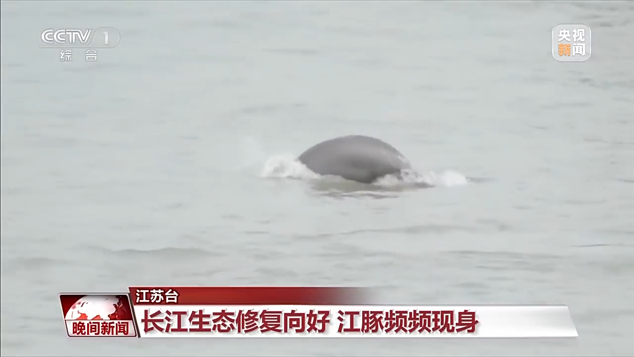 代挂姜玉武的号黄牛代挂号电话票贩子号贩子网上预约挂号,住院检查加快,春天里的中国丨万物复苏 春意盎然
