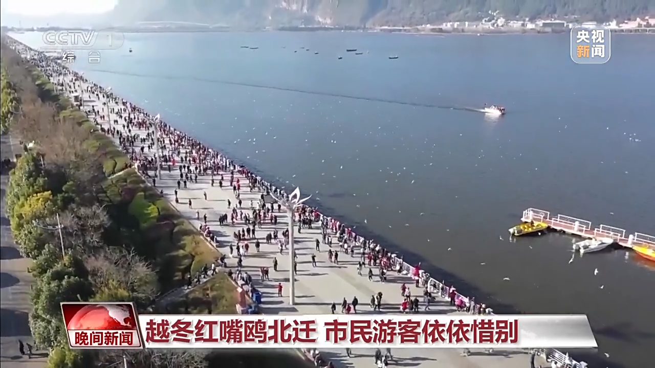 代挂姜玉武的号黄牛代挂号电话票贩子号贩子网上预约挂号,住院检查加快,春天里的中国丨万物复苏 春意盎然