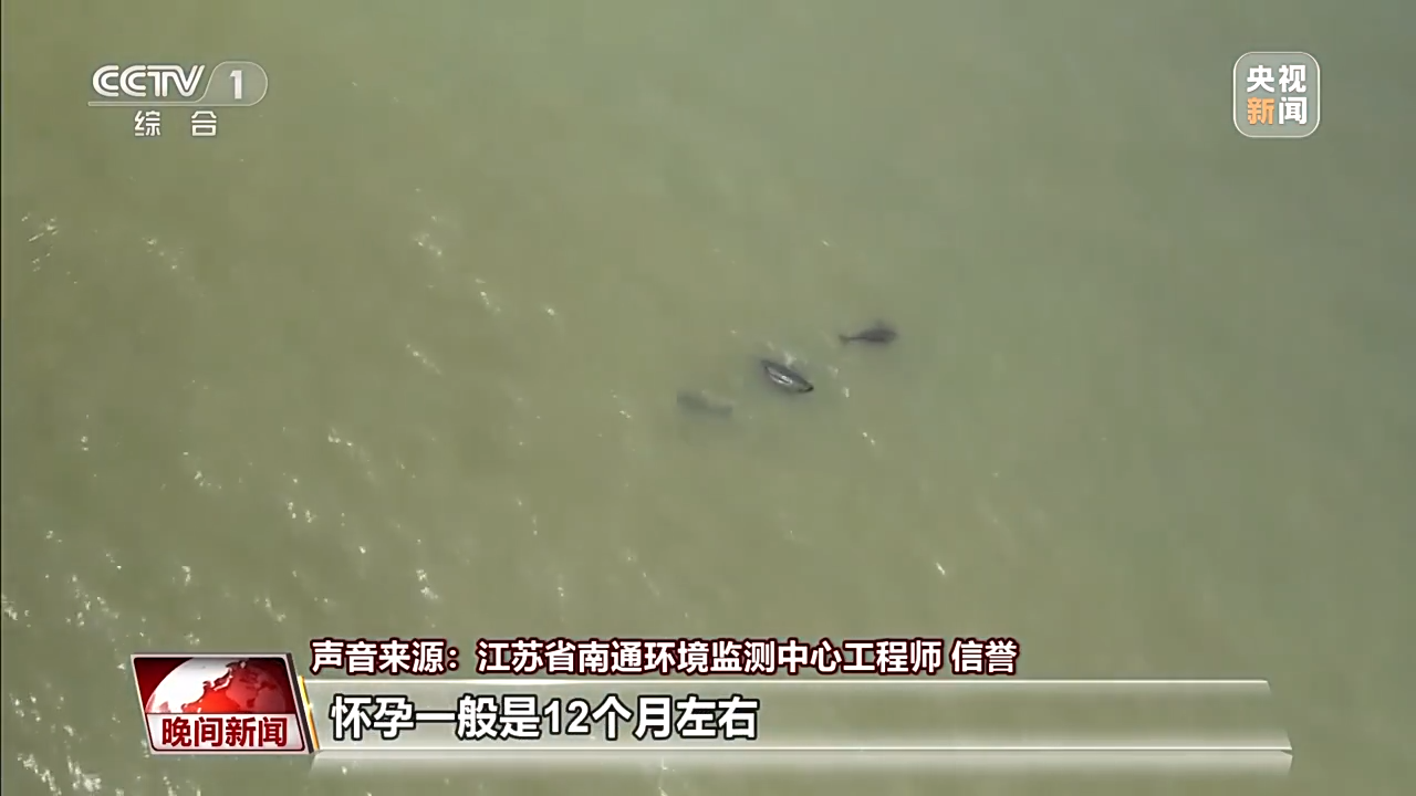 代挂姜玉武的号黄牛代挂号电话票贩子号贩子网上预约挂号,住院检查加快,春天里的中国丨万物复苏 春意盎然