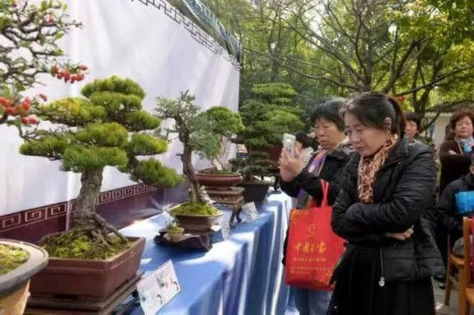 
广州中山一院黄牛代挂号电话票贩子号贩子网上预约挂号,住院检查加快,奉贤区“上海市民绿化节”绿化大篷车即将开往泡泡公园二号门丨奉贤创园系列