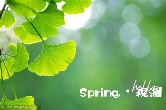 WDCM上传图片 WDCM上传图片