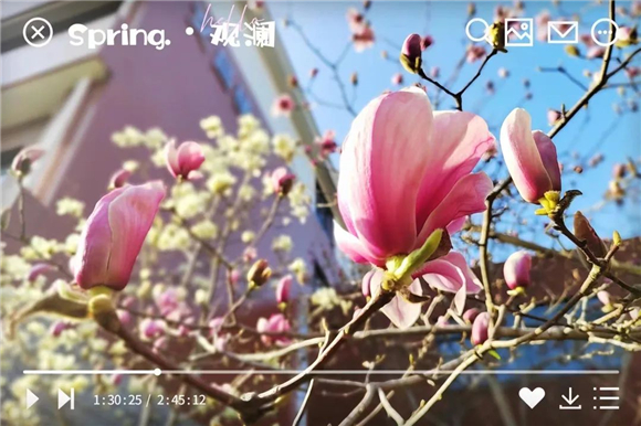 WDCM上传图片 WDCM上传图片