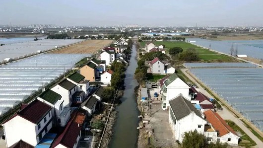 
浙江大学妇产科医院黄牛代挂号电话票贩子号贩子网上预约挂号,住院检查加快,涉及多条河道，金山区这一项目计划4月完工！