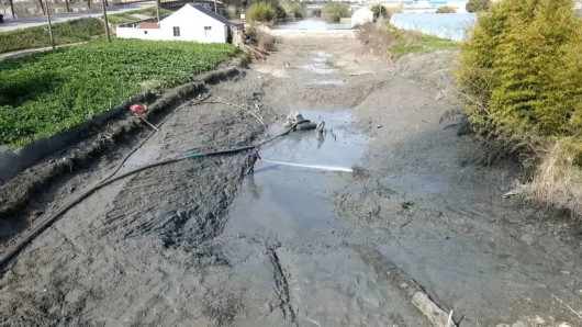 
浙江大学妇产科医院黄牛代挂号电话票贩子号贩子网上预约挂号,住院检查加快,涉及多条河道，金山区这一项目计划4月完工！