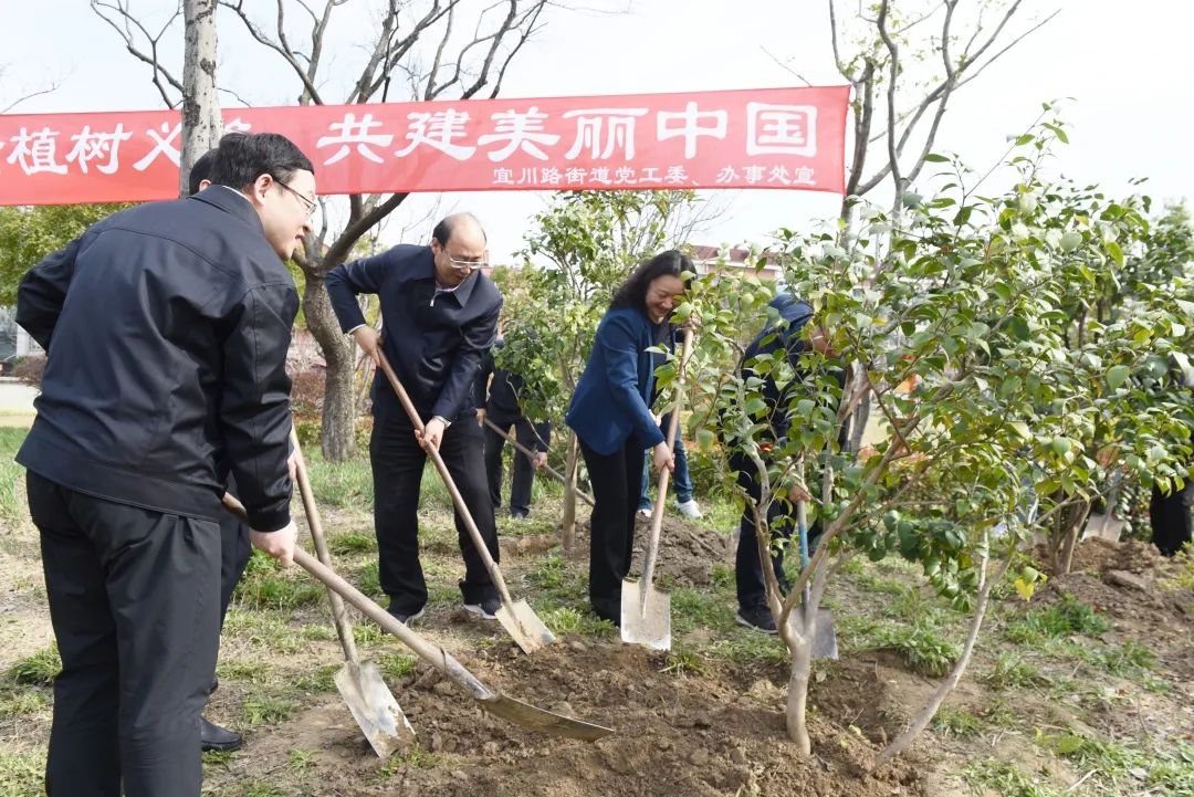 
南京儿童医院黄牛代挂号电话票贩子号贩子网上预约挂号,住院检查加快,“植”此青绿，“树”立美好，宜川人共建绿色家园