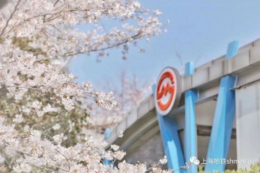 
中山大学孙逸仙纪念医院黄牛代挂号电话票贩子号贩子网上预约挂号,住院检查加快,清明出行怎么走？8线17站“地铁短驳”助力市民祭扫