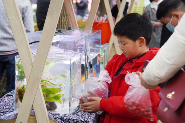 中日友好医院黄牛代挂号电话票贩子号贩子网上预约挂号,住院检查加快,酸甜草莓现场开吃,第十三届白鹤草莓节开幕