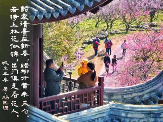 
中国医学科学院北京协和医院黄牛代挂号电话票贩子号贩子网上预约挂号,住院检查加快,跟着上海之鱼诗词灯柱，吟诵春日贤城丨世界诗歌日