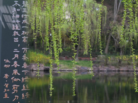 
中国医学科学院北京协和医院黄牛代挂号电话票贩子号贩子网上预约挂号,住院检查加快,跟着上海之鱼诗词灯柱，吟诵春日贤城丨世界诗歌日