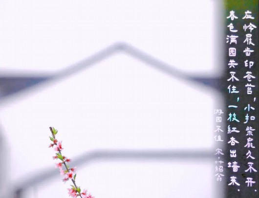 
中国医学科学院北京协和医院黄牛代挂号电话票贩子号贩子网上预约挂号,住院检查加快,跟着上海之鱼诗词灯柱，吟诵春日贤城丨世界诗歌日