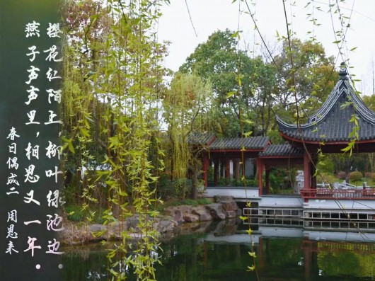 
中国医学科学院北京协和医院黄牛代挂号电话票贩子号贩子网上预约挂号,住院检查加快,跟着上海之鱼诗词灯柱，吟诵春日贤城丨世界诗歌日