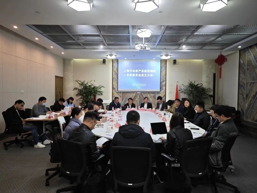 
博爱医院黄牛代挂号电话票贩子号贩子网上预约挂号,住院检查加快,助力高质量发展，上海市未来产业新型储能专家委员会成立