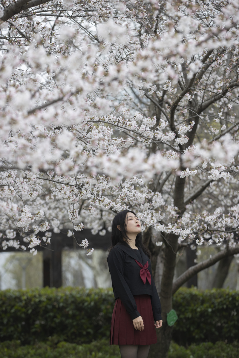 
广州市妇女儿童医疗中心黄牛代挂号电话票贩子号贩子网上预约挂号,住院检查加快,这所大学樱花林迎来盛花期 漫天粉色花海令人陶醉