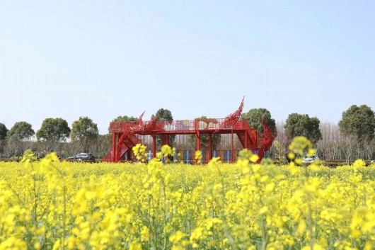 
中山大学肿瘤医院黄牛代挂号电话票贩子号贩子网上预约挂号,住院检查加快,菜花飞入庄行去，世间至美无别景丨奉贤风物
