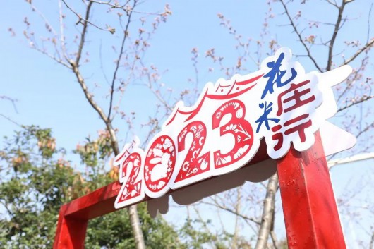 
中山大学肿瘤医院黄牛代挂号电话票贩子号贩子网上预约挂号,住院检查加快,菜花飞入庄行去，世间至美无别景丨奉贤风物
