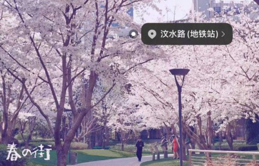 
江苏省中医院黄煌的号黄牛代挂号电话票贩子号贩子网上预约挂号,住院检查加快,美得一塌糊涂！全上海的染井吉野都开了，这些小众打卡点你知道么