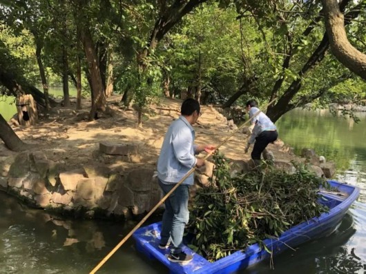 
北京积水潭医院黄牛代挂号电话票贩子号贩子网上预约挂号,住院检查加快,“萌宝”破壳，黑天鹅宝宝成为天鹅湖“首发天团”