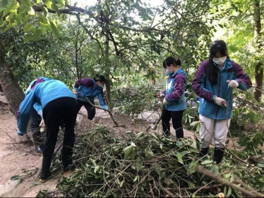 
北京积水潭医院黄牛代挂号电话票贩子号贩子网上预约挂号,住院检查加快,“萌宝”破壳，黑天鹅宝宝成为天鹅湖“首发天团”