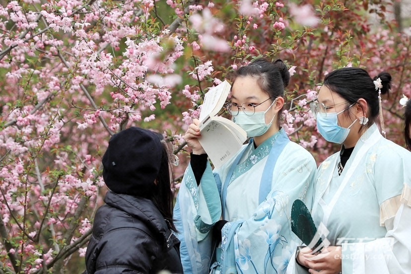 
北京各大医院黄牛代挂号电话票贩子号贩子网上预约挂号,住院检查加快,踏青赏花季 黄兴公园海棠文化节迎来一片粉色花海