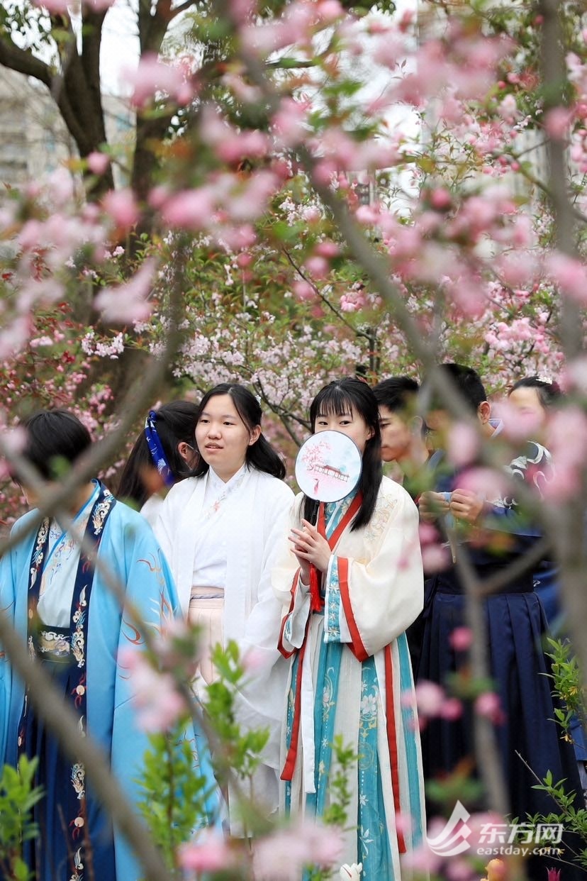 
北京各大医院黄牛代挂号电话票贩子号贩子网上预约挂号,住院检查加快,踏青赏花季 黄兴公园海棠文化节迎来一片粉色花海