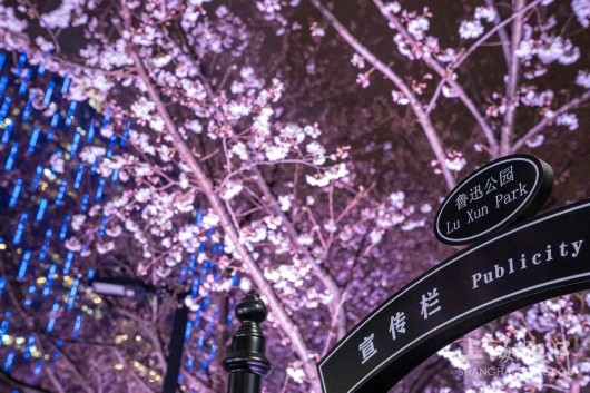
首都医科大学附属儿童医院黄牛代挂号电话票贩子号贩子网上预约挂号,住院检查加快,雨后盛放的樱花有多美？虹足樱花全盛期来咯~
