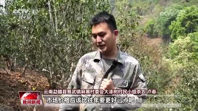 
广州儿童医院黄牛代挂号电话票贩子号贩子网上预约挂号,住院检查加快,又是一年春茶季 各地茶园抢“鲜”采