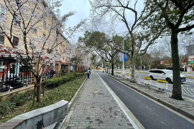 
江苏省人民医院黄牛代挂号电话票贩子号贩子网上预约挂号,住院检查加快,鼓足干劲 合力攻坚 宝山区绿化建管中心凝心聚力冲刺创全