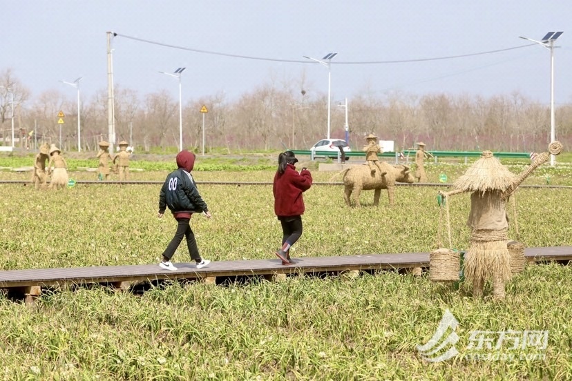 
上海肿瘤医院黄牛代挂号电话票贩子号贩子网上预约挂号,住院检查加快,燃情开跑、畅游花海…刚刚过去的这个周末 上海崇明热闹非凡