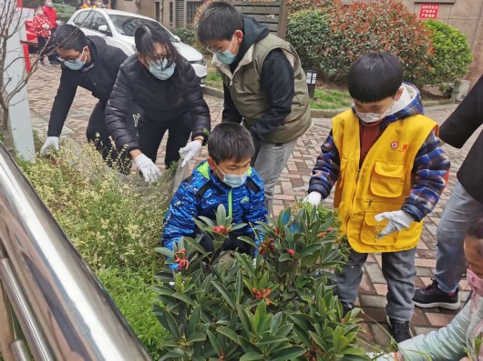 
北京大学第六医院黄牛代挂号电话票贩子号贩子网上预约挂号,住院检查加快,小花园让社区“靓”起来！宝山这里开展亲子种植活动