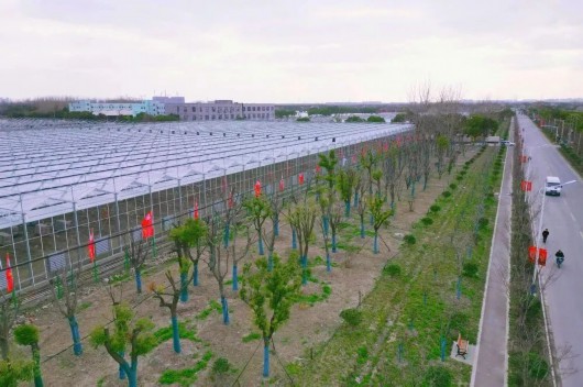 
空军特色医学中心黄牛代挂号电话票贩子号贩子网上预约挂号,住院检查加快,善治长安丨快来一探“虹桥花谷”焕然一新的奥秘所在→