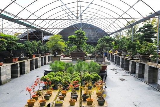 
空军特色医学中心黄牛代挂号电话票贩子号贩子网上预约挂号,住院检查加快,善治长安丨快来一探“虹桥花谷”焕然一新的奥秘所在→